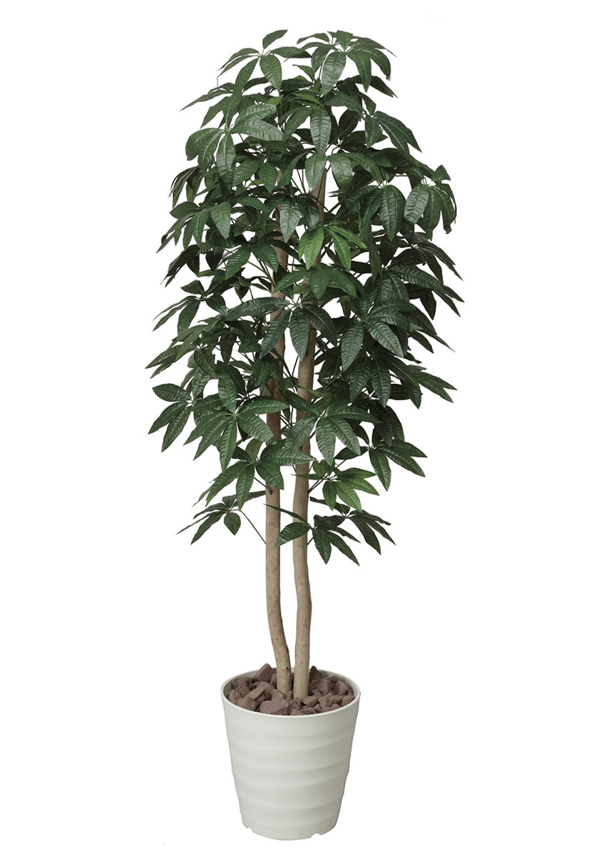 光触媒 光の楽園 パキラツリー 1.6m【インテリア フェイクグリーン