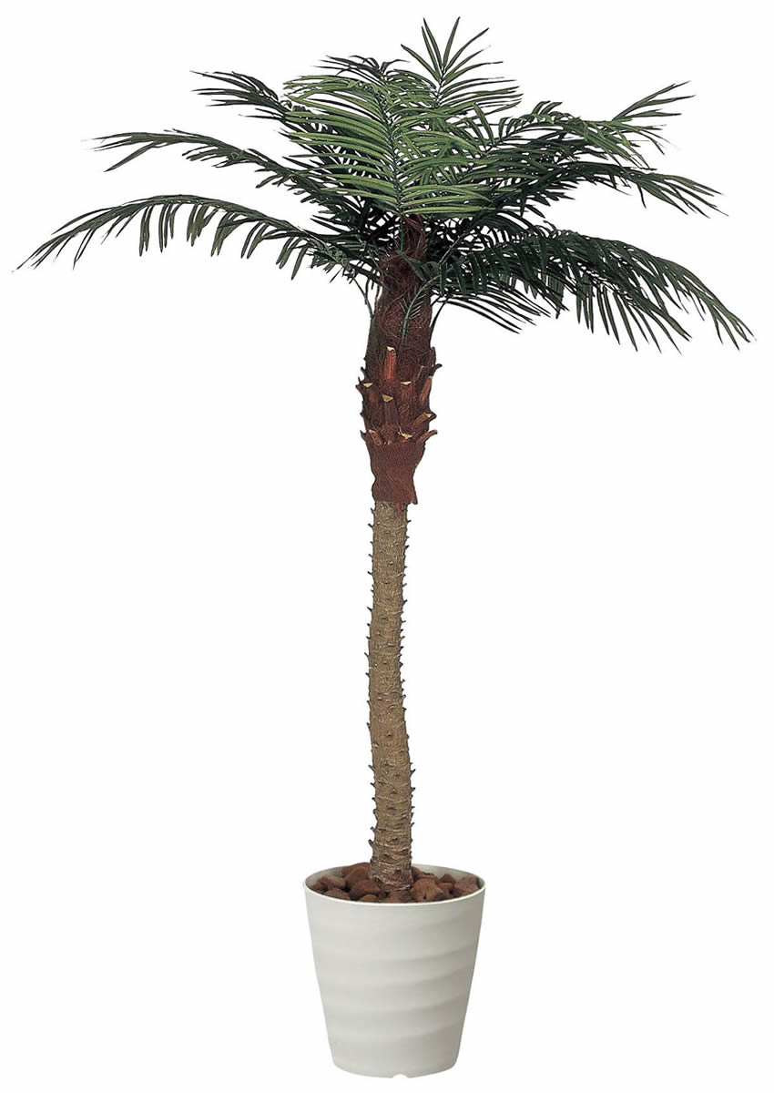 光触媒 光の楽園 フェニックス 2.1m【インテリア フェイクグリーン