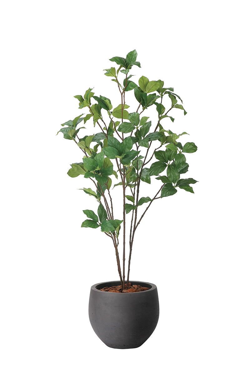 光触媒 光の楽園ナチュラルサラサドウダン 90【インテリア フェイク