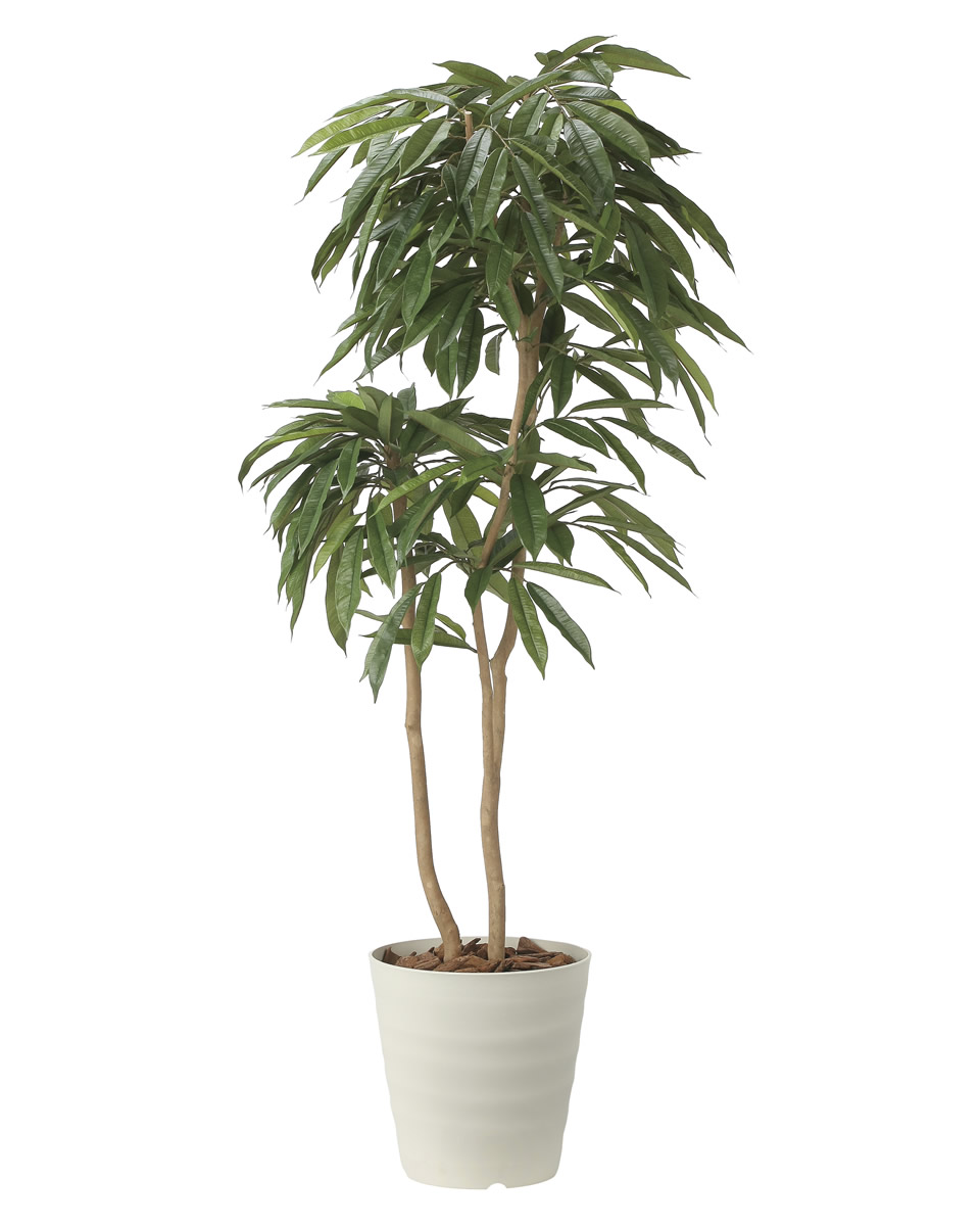 光触媒 光の楽園 アムステルラバーキング1.8【インテリア フェイク