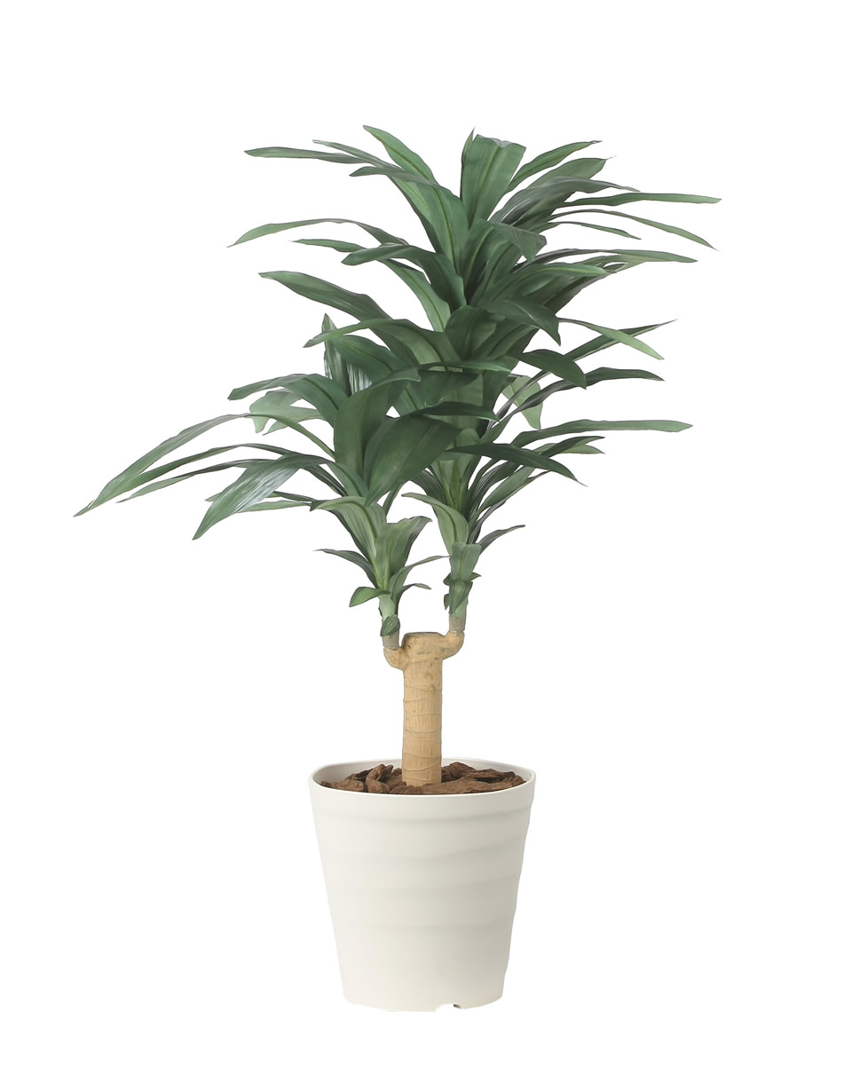 光触媒 光の楽園 ドラセナジャネット1.0【インテリア フェイクグリーン