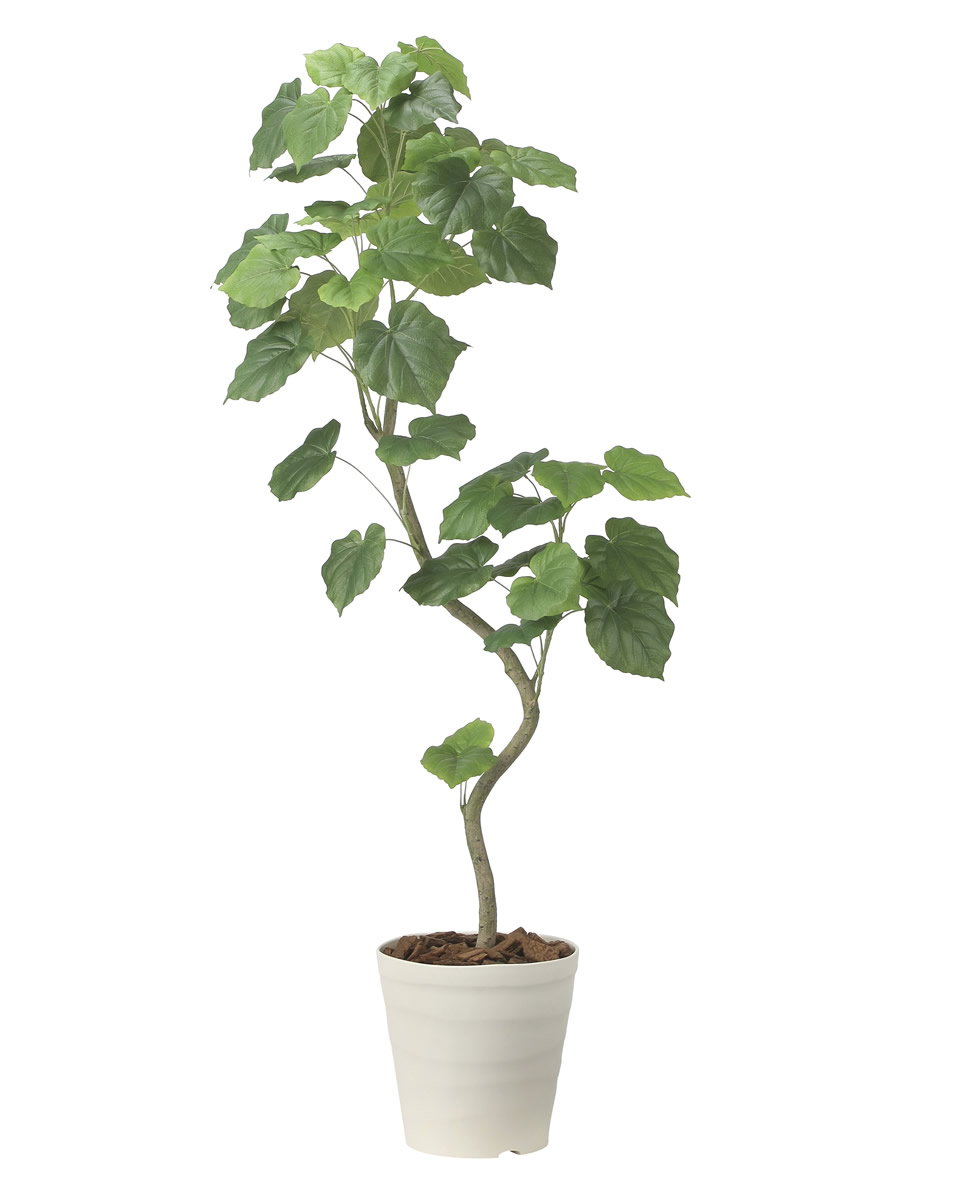 光触媒 光の楽園 ツイストウンベラータ1.6【インテリア フェイク