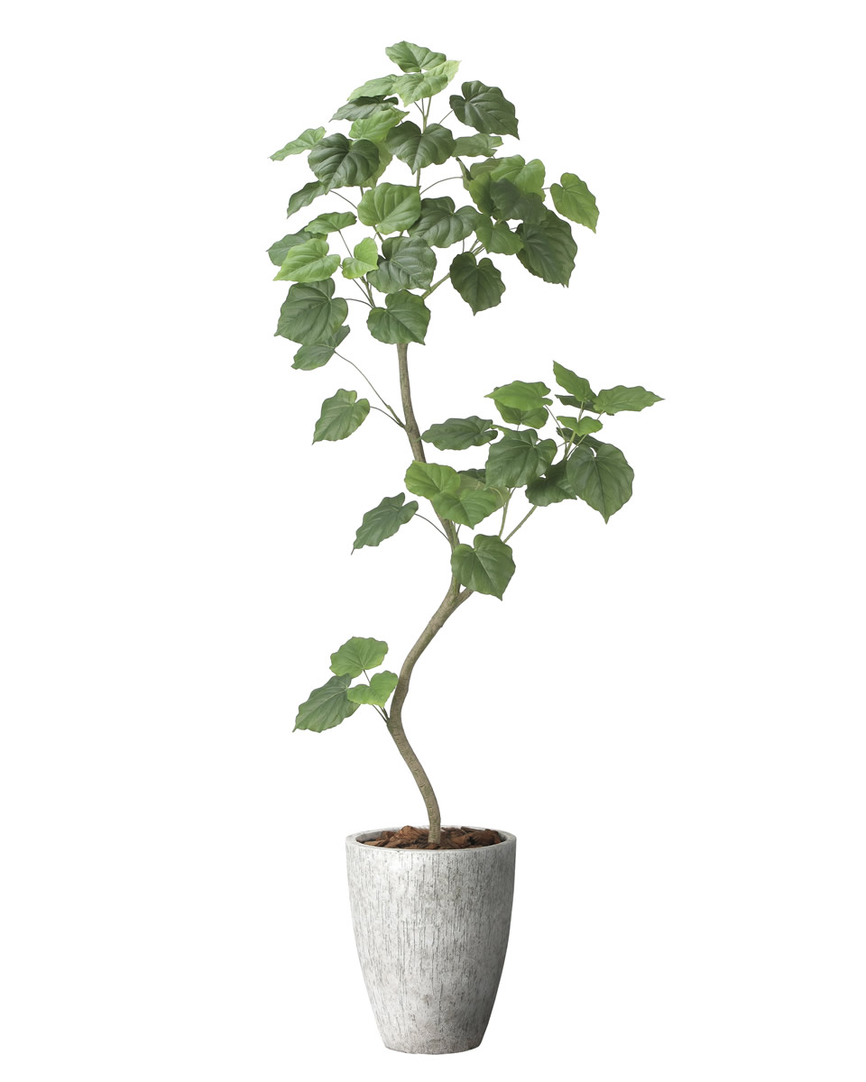 光触媒 光の楽園 ナチュラルウンベラータ1.9（組立式）【インテリア