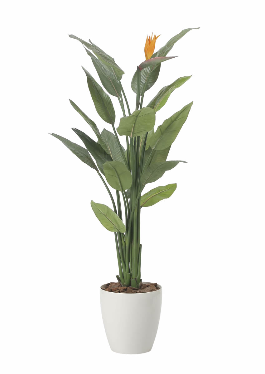 光触媒 光の楽園 ストレチア花付き1.5m【インテリア フェイクグリーン