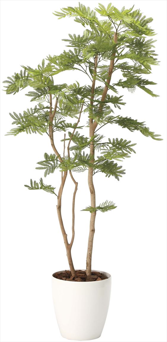 光触媒 光の楽園 ねむの木 高さ 1.8m 【インテリア フェイクグリーン