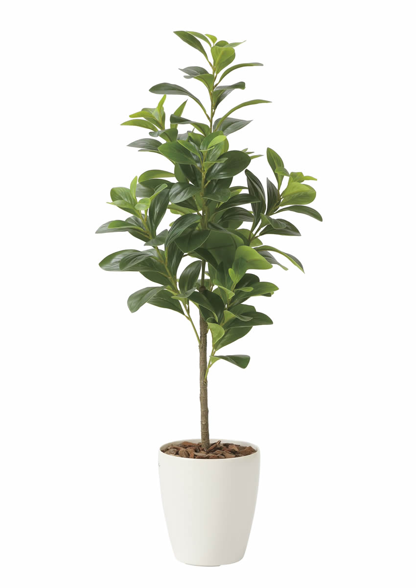 光触媒 光の楽園 フレッシュマネーツリー 90【インテリア フェイク