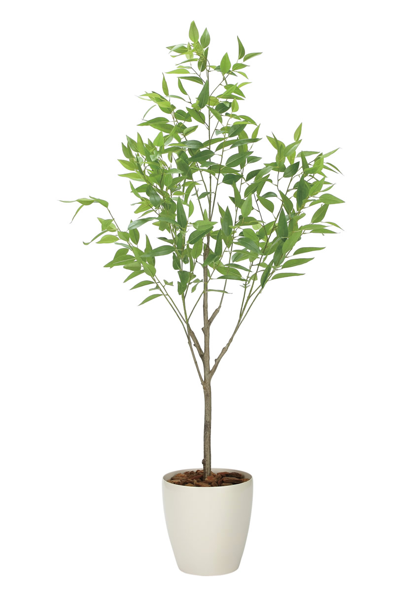 光触媒 光の楽園 フレッシュ細葉ユーカリ1.7m【インテリア フェイク