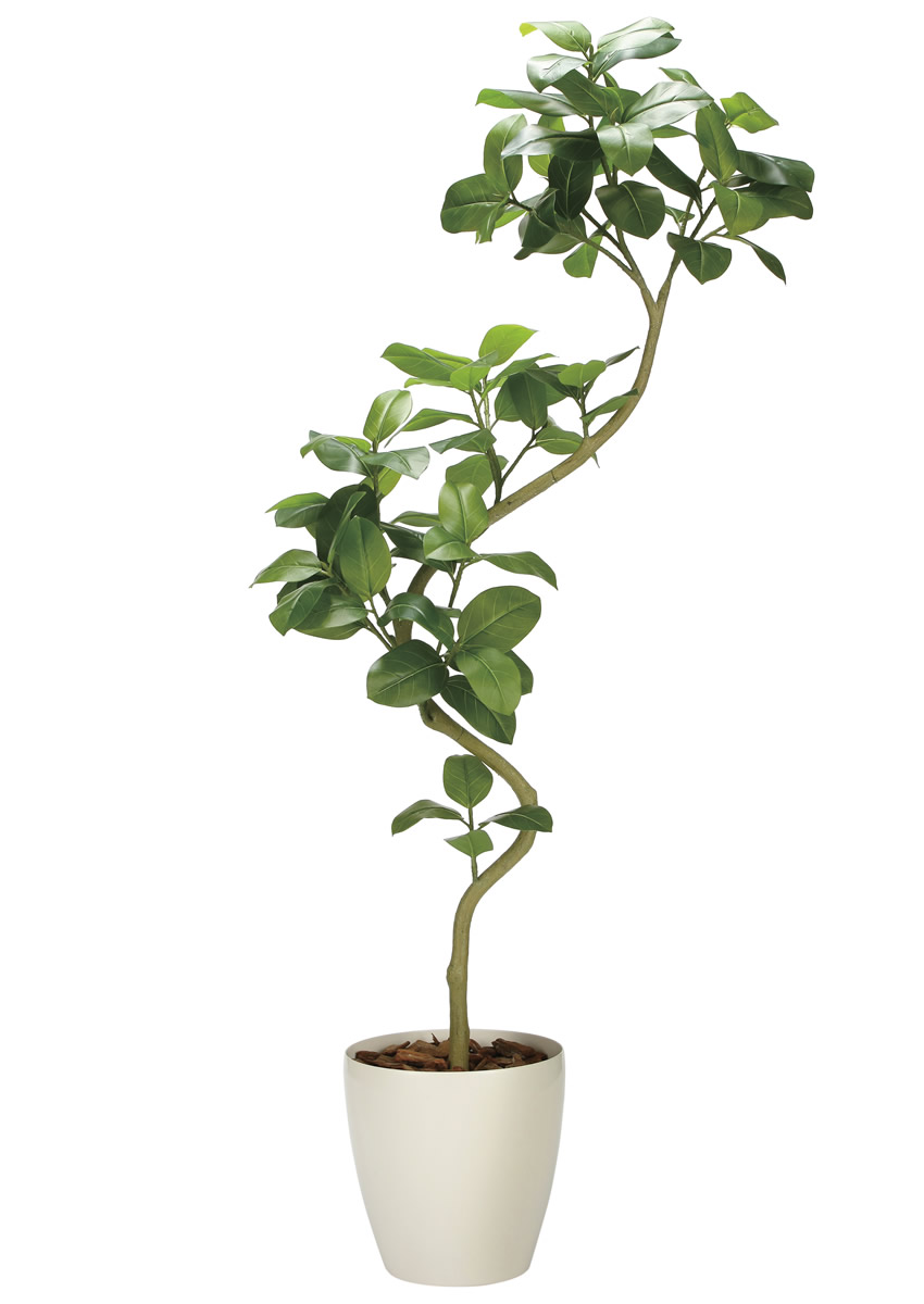 光触媒 光の楽園 ツイストアルテシマ2.1m(組立式)【インテリア