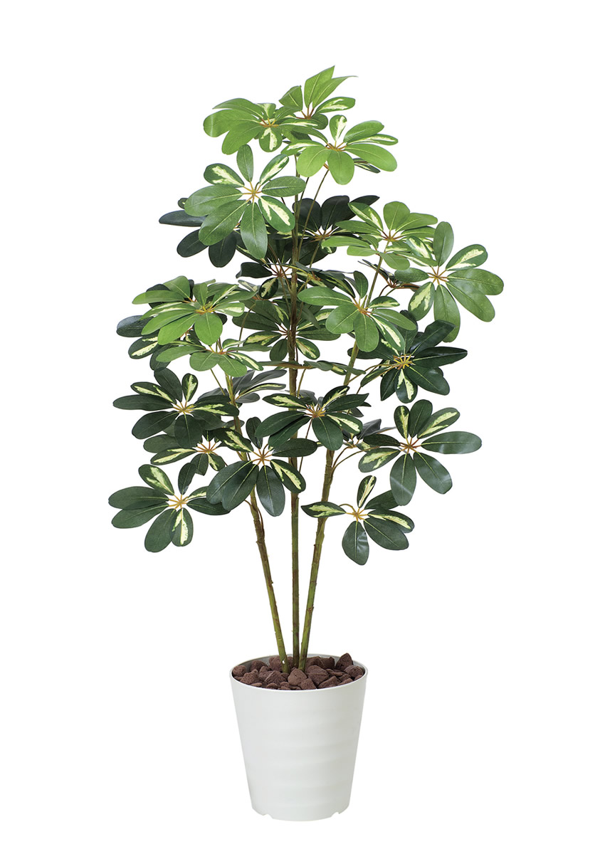 光触媒 光の楽園 カポック斑入リ1.2m【インテリア フェイクグリーン