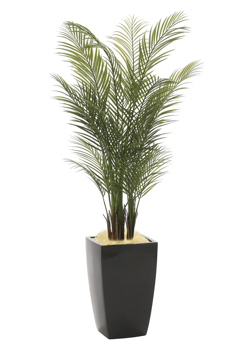 光触媒 光の楽園 アーバンアレカパーム1.7m(ポリ製)【インテリア
