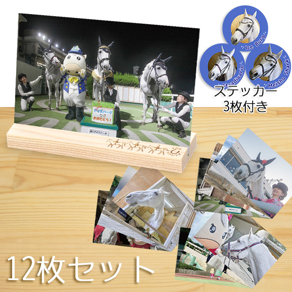 差し入れ付き＞園田競馬 誘導馬ポストカード12枚セット（カード