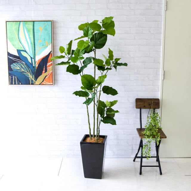 人工 観葉植物 フェイク グリーン ウンベラータ H約165cm 店舗 装飾