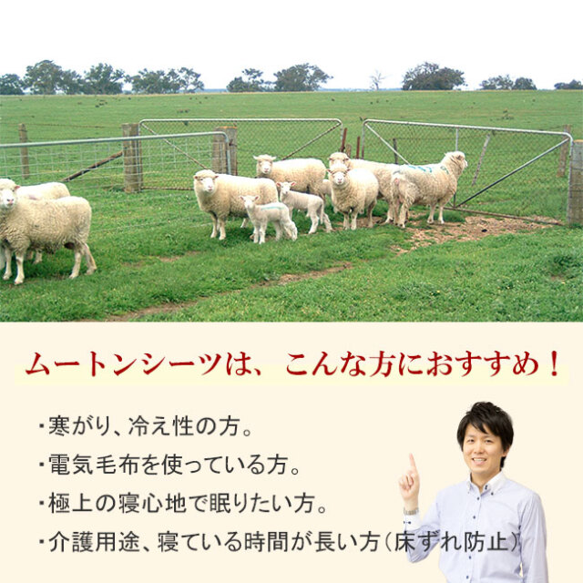 毛長25ミリ、オーストラリア産羊毛原皮を使用した高品質ムートンシーツ