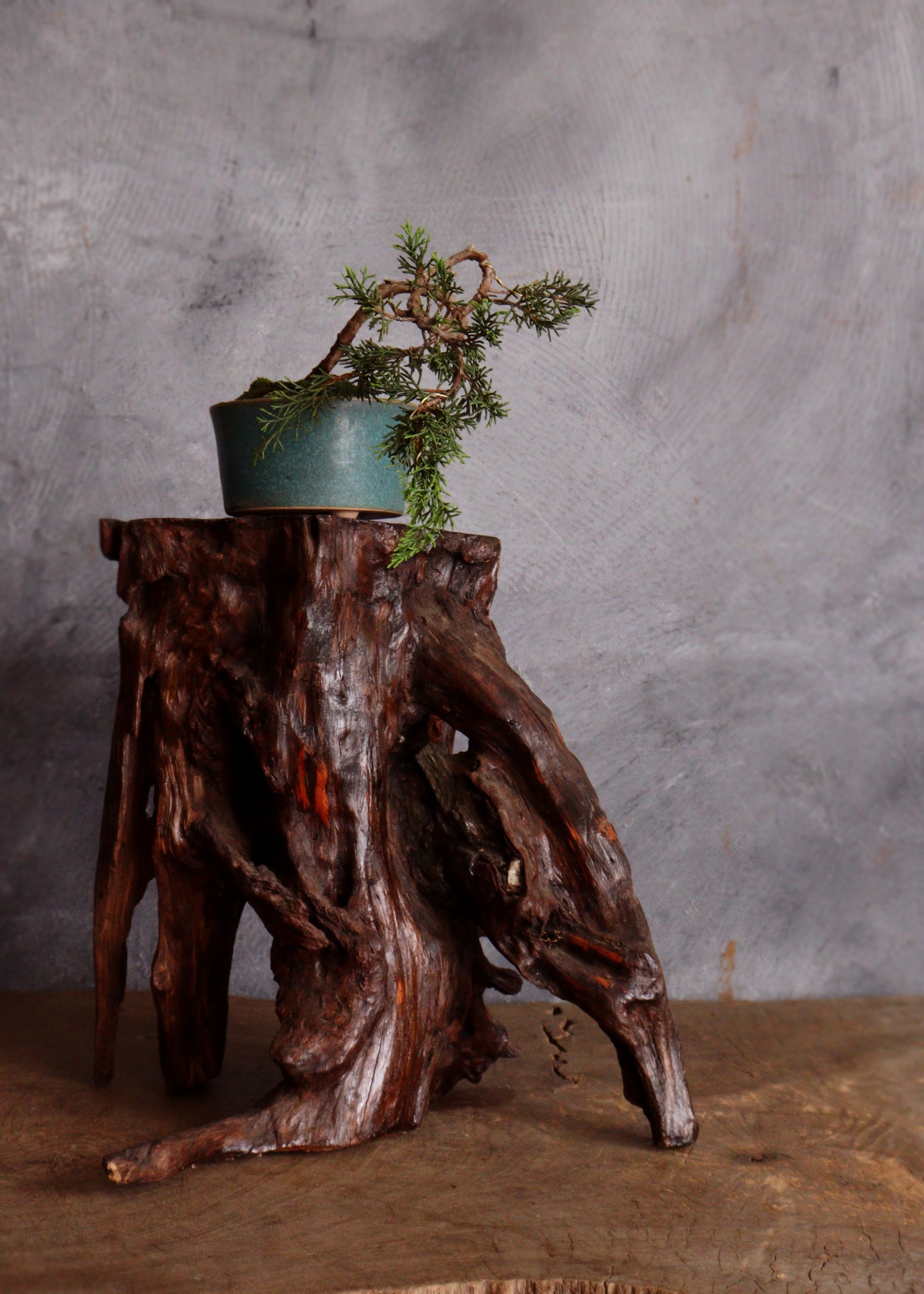 古木花台 珪化木 花台 根瘤 古玩 古材 盆栽台 飾り台 Antique Sam's