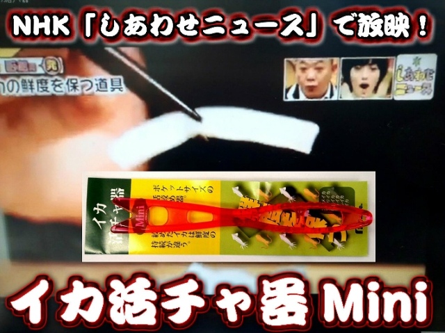 キラッと針 ヤリイカ