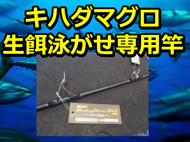 マグロ フカセ お勧め