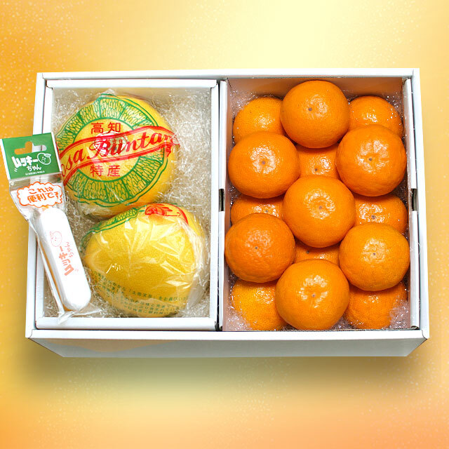 山北みかんと温室土佐文旦のセット