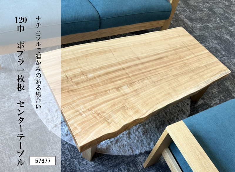 120巾ポプラ一枚板 センターテーブル 57677