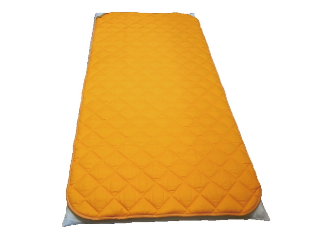 丸山修寛医師開発の地磁気パッド「Gaiga（ガイガ）」の販売【信州健康