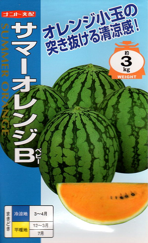 野菜種子 西瓜（スイカ） サマーオレンジB（ベビー） ナント種苗のタネ