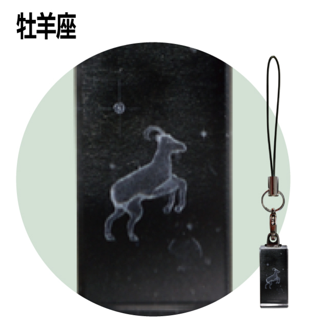 12星座3Dクリスタルストラップ