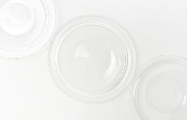 河上智美エッジプレートフラット（クリア）｜暮らしのうつわ花田和食器通販