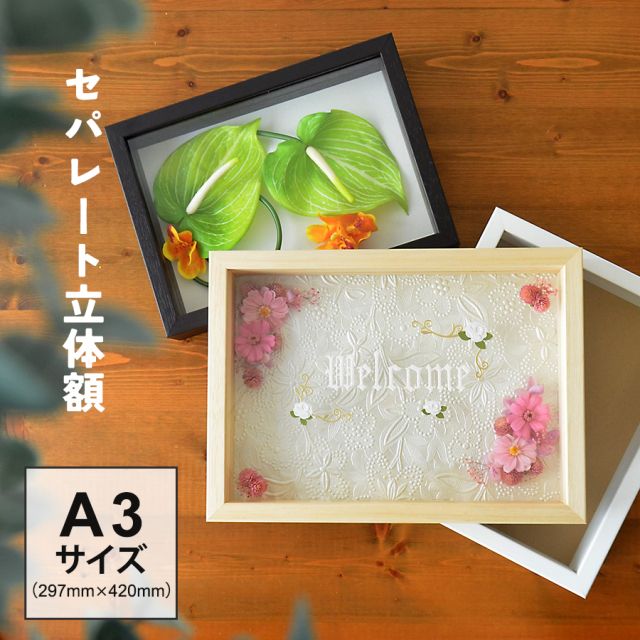 中身を支えるパーツが2段！立体～平面作品迄自由にフレーミング