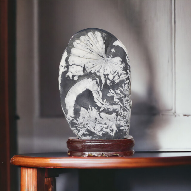 菊花石 No.227 【鑑賞用鉱石】高さ:約28cm 幅:約16cm 重さ:約4.0kg