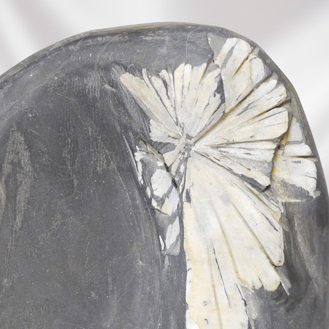 菊花石 No.234 【鑑賞用鉱石】高さ:約28cm 幅:約15cm 重さ:約3.5kg