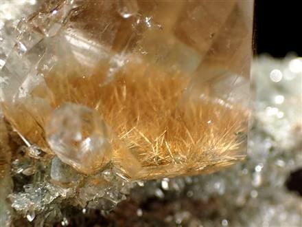 ◇ゴールドルチル共生！「ヒマラヤの奇跡」◇入手困難度MAX！見逃し