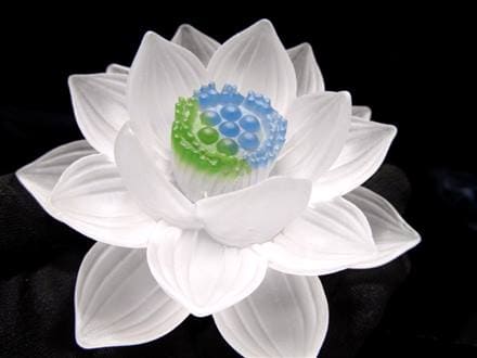 ◇クリアカラータイプ◇極楽浄土に咲く花！ロータスモチーフ◇幸運を