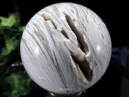 ☆一度見たら忘れられないインパクト！☆自然が作り出す芸術的模様