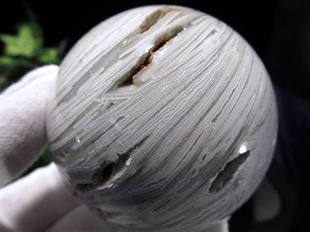 ☆一度見たら忘れられないインパクト！☆自然が作り出す芸術的模様