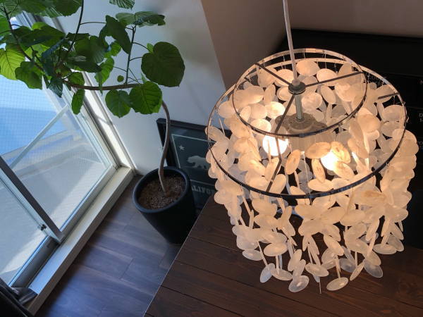 送料無料 SHELL シェルランプ 【HERMOSA】ハモサ 家具インテリア雑貨