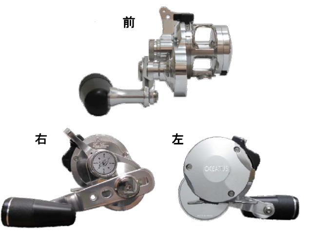 エバーグリーン オケアノス