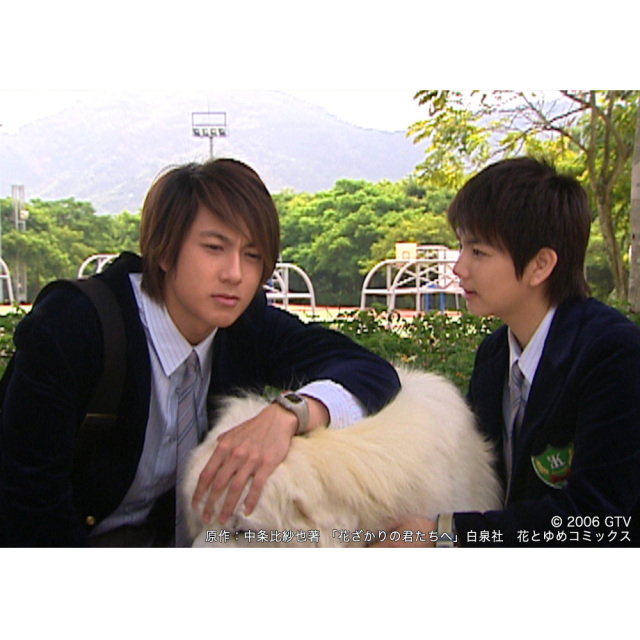 花ざかりの君たちへ～花様少年少女～ DVD-BOX1（4枚組） ＜シンプル