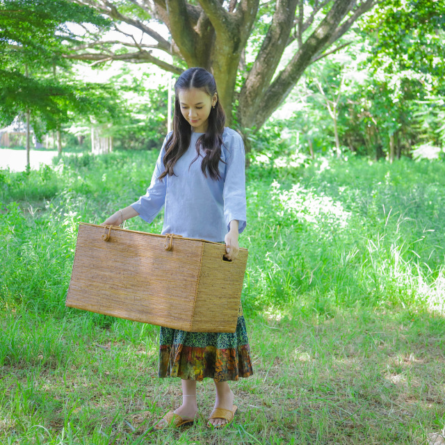 リビング収納中仕切蓋付きハーフサイズ (BOX399) Rosily(ロージリー