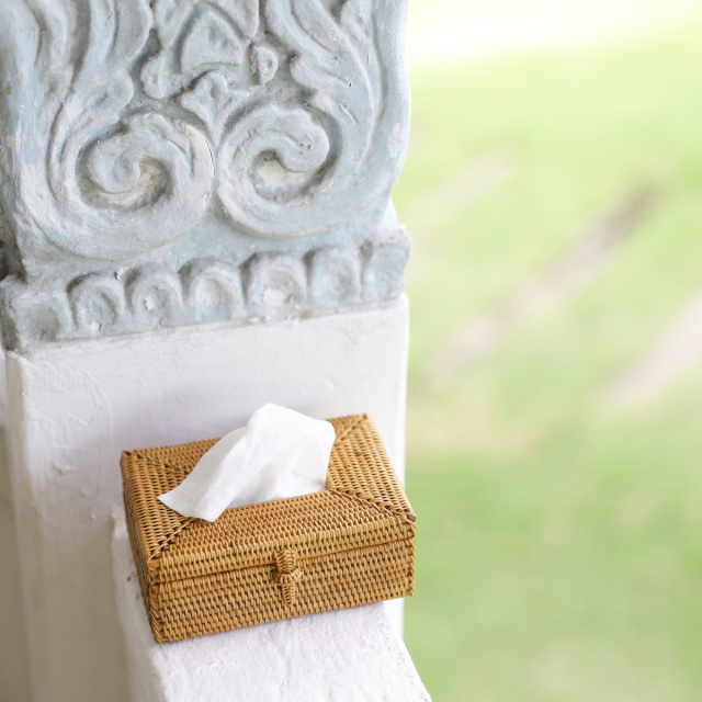 ポケットティッシュ穴空き (TIS217) Rosily(ロージリー) バリ島 アタ