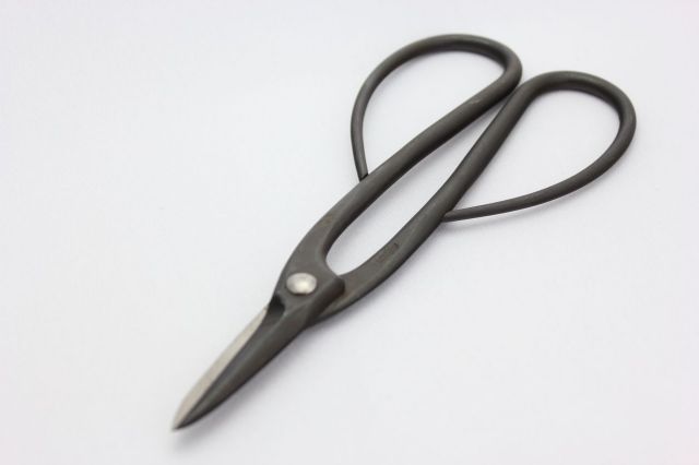 昌国 黒磨長柄剪定鋏 No,2