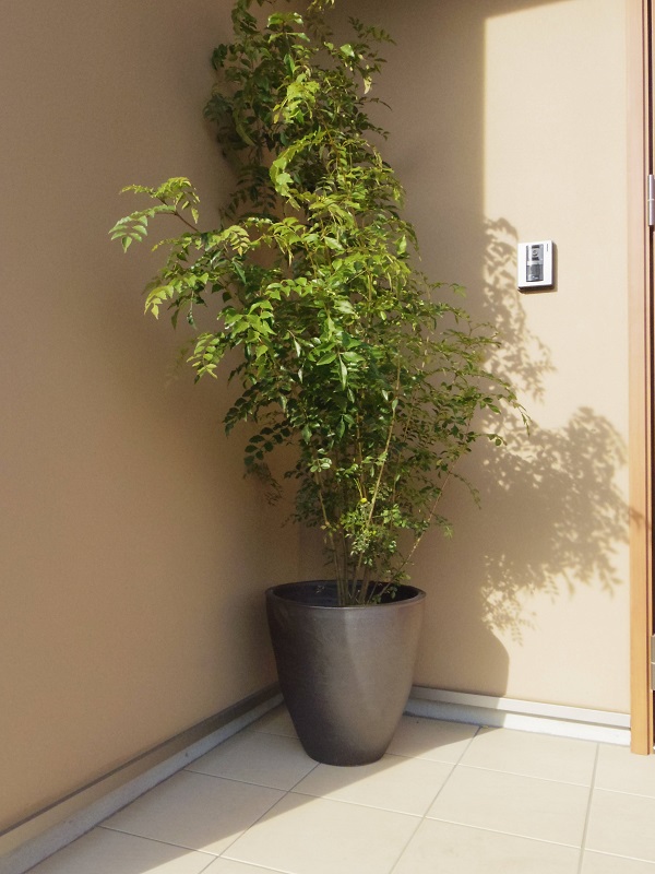 信楽焼・植木鉢「雅」丸型40サイズ・黒 大型 陶器製 おしゃれ 和風