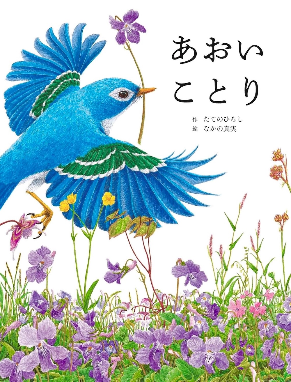 あおいことり（サイン本） 451ブックス