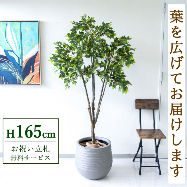 人工 観葉植物 フェイク グリーン 新緑ベンジャミン H約165cm 店舗