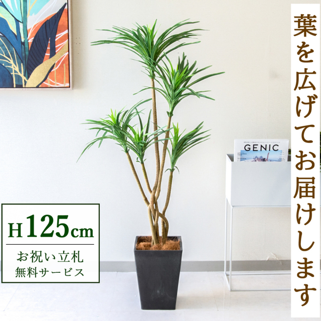 人工 観葉植物 フェイク グリーン ユッカポット H約120cm 店舗 装飾