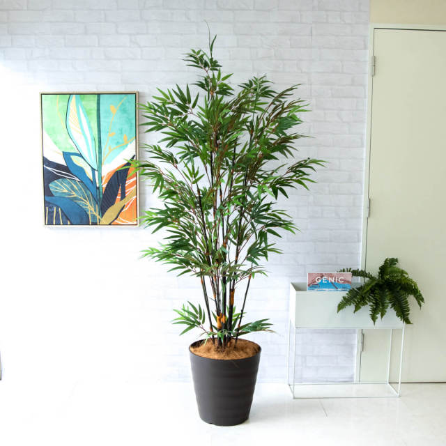 人工 観葉植物 フェイク グリーン 黒竹 H約190cm 大型 店舗 装飾 開店