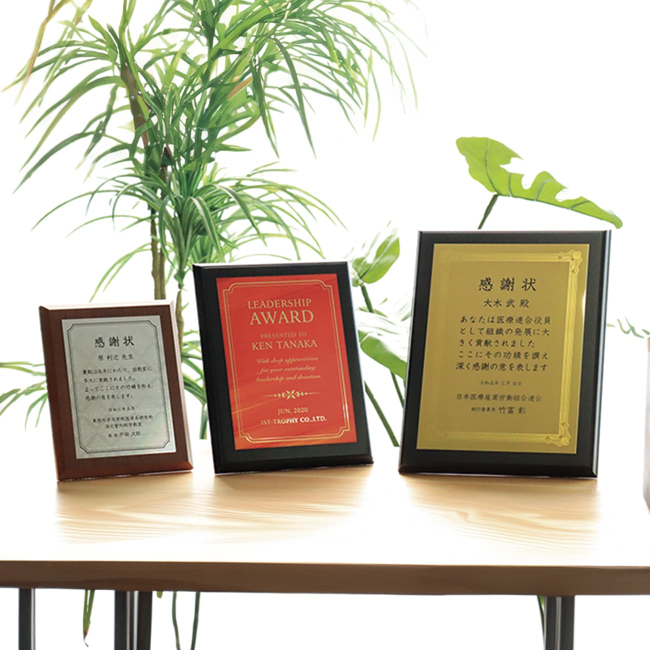 特注 表彰楯 木製 カラー加工 XW-01C ファーストトロフィー