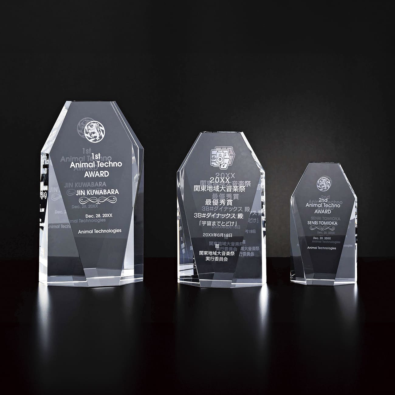 クリスタルトロフィー 内部レーザー彫刻 L95-01 Aサイズ