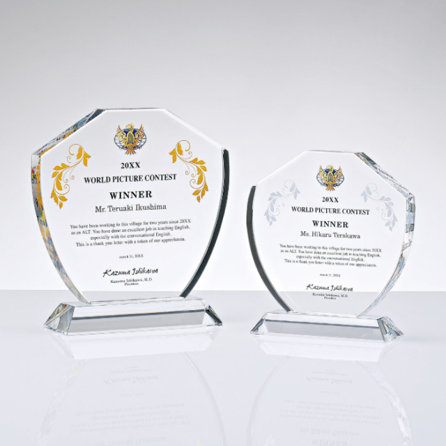 シルバー トロフィー 専用ケース付き シルバー トロフィー 専用ケース