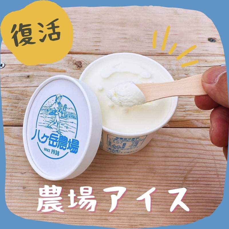 八ヶ岳中央農業実践大学校 バニラアイス 6個セット