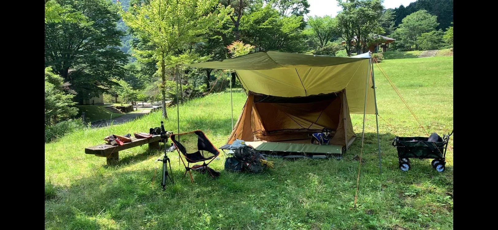 OneTigris テント OneTigris スーパーシェルター 超軽量 BLACK ORCA