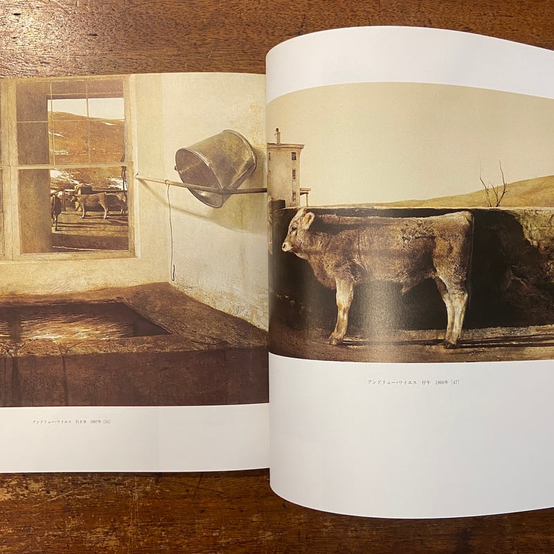 ワイエス展 図録」N. C. Wyeth Andrew Wyeth James Wyeth